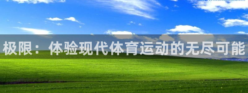 德国3377体育官方正版app集团:极限:体验现代体育运动的