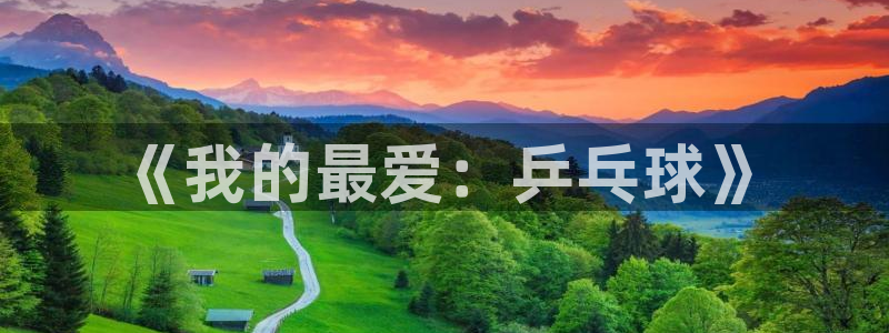 3377体育官网下载招商电话地址:《我的最爱:乒乓球》