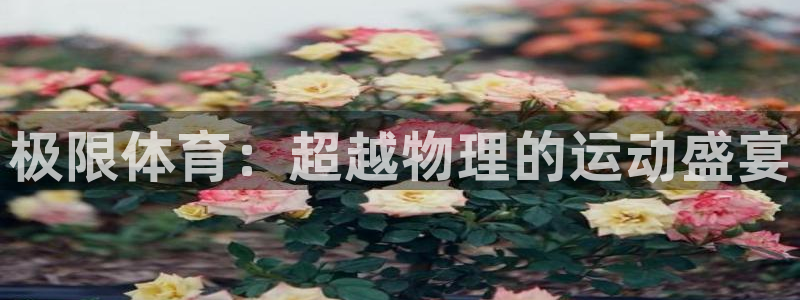 3377体育官网下载招商电话是多少:极限体育:超越物理的运动