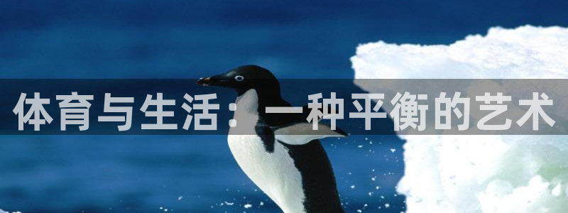 3377体育官网下载招商电话号码查询:体育与生活:一种平衡的