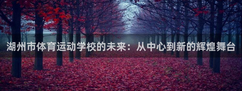 3377体育官网下载招商电话是多少:湖州市体育运动学校的未来