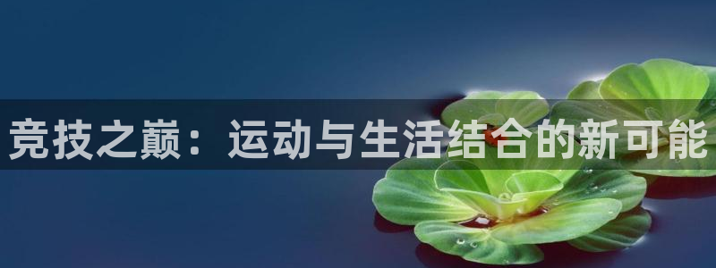 3377体育官方正版app娱乐网站:竞技之巅:运动与生活结合