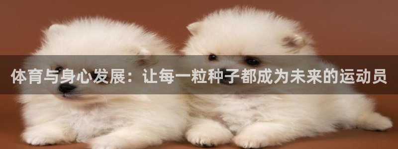 3377体育官方正版app集团简介:体育与身心发展:让每一粒